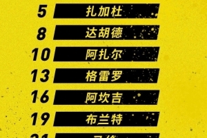 多特vs药厂首发：罗伊斯、布兰特领衔，哈兰德缺席